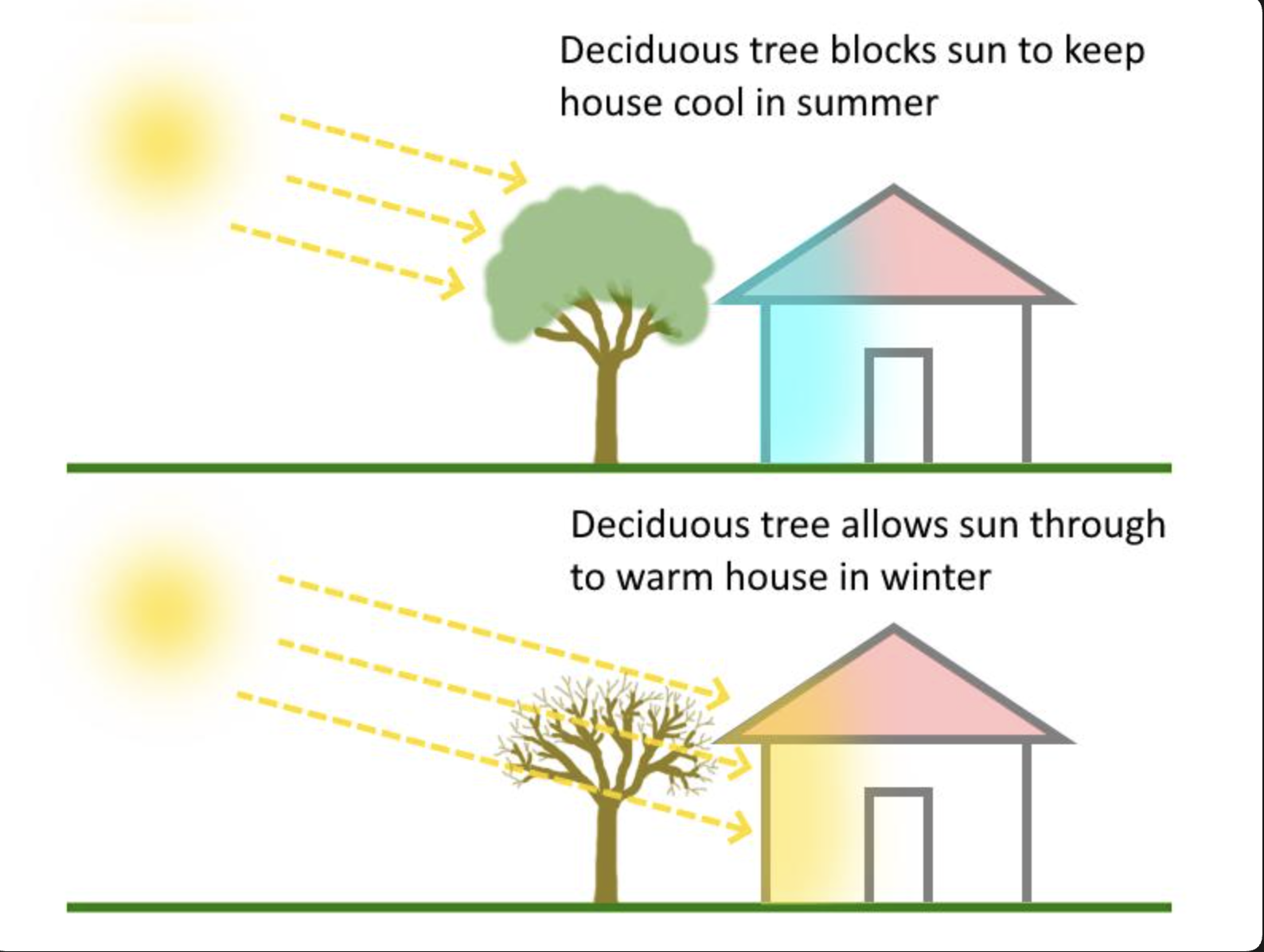 7. Trees and Landscape Design.png
